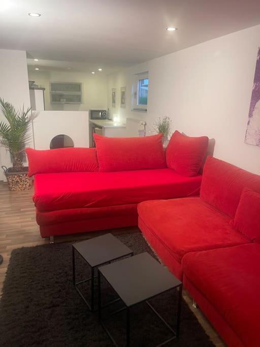 Trippstadt Gemuetliches Einliegerapartment, 50 Qm מראה חיצוני תמונה